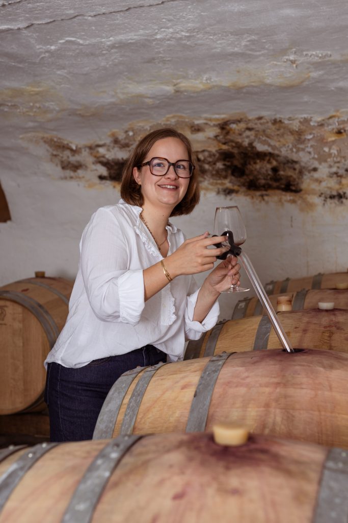 Travail de la vigne sur l'AOC Pouilly-Fumé, Domaine Bailly-Reverdy