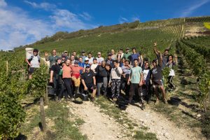 Equipe de vendangeurs